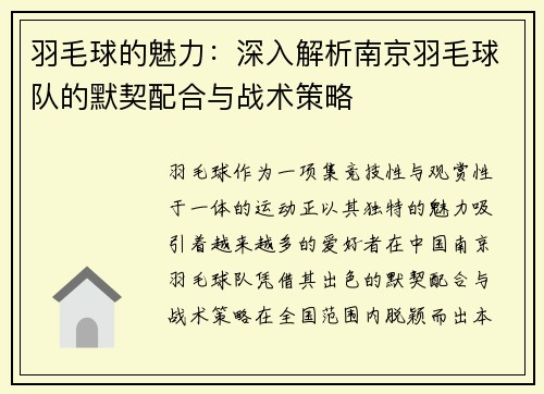 羽毛球的魅力：深入解析南京羽毛球队的默契配合与战术策略