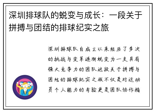 深圳排球队的蜕变与成长：一段关于拼搏与团结的排球纪实之旅