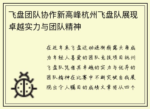 飞盘团队协作新高峰杭州飞盘队展现卓越实力与团队精神